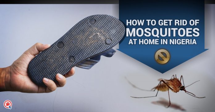 How to get Rid of Mosquitoes