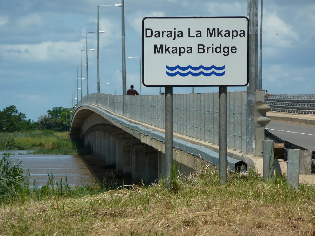 Top 10 Longest Bridges In Africa